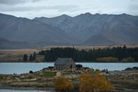 Tag 13 - Neuseeland - Lake Tekapo (8) &ndash; &copy; Franziska Barthel (Eberhardt TRAVEL)
