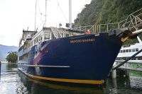 Tag 14 - Neuseeland - Milford Souind (1) &ndash; &copy; Franziska Barthel (Eberhardt TRAVEL)