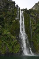 Tag 14 - Neuseeland - Milford Souind (3) &ndash; &copy; Franziska Barthel (Eberhardt TRAVEL)