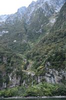 Tag 15 - Neuseeland - Milford Sound (2) &ndash; &copy; Franziska Barthel (Eberhardt TRAVEL)