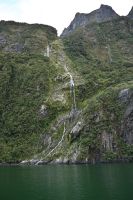 Tag 15 - Neuseeland - Milford Sound (16) &ndash; &copy; Franziska Barthel (Eberhardt TRAVEL)