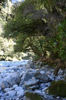 Tag 17 - Neuseeland - Thunder Creek Falls (3) &ndash; &copy; Franziska Barthel (Eberhardt TRAVEL)