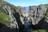 Tag 19 - Neuseeland - Pancake Rocks (7) &ndash; &copy; Franziska Barthel (Eberhardt TRAVEL)