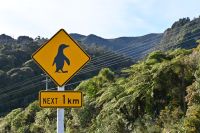 Tag 19 - Neuseeland (2) &ndash; &copy; Franziska Barthel (Eberhardt TRAVEL)