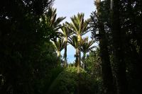 Tag 19 - Neuseeland (3) &ndash; &copy; Franziska Barthel (Eberhardt TRAVEL)