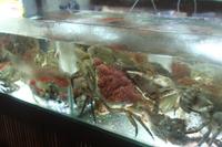 Seafood &ndash; &copy; Annett Müller (Eberhardt TRAVEL)