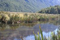 Mirrow Lakes &ndash; &copy; Annett Müller (Eberhardt TRAVEL)