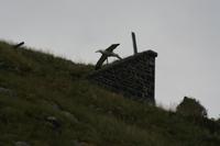 Königs &ndash; &copy; Annett Müller (Eberhardt TRAVEL)