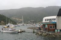 Picton &ndash; &copy; Annett Müller (Eberhardt TRAVEL)