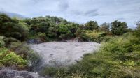 Rundreise Neuseeland // Besuch vom Geothermalpark Te Puia &ndash; &copy; Franziska Bergmann (Eberhardt TRAVEL)
