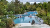 Rundreise Neuseeland // Besuch der Wairakei Terrassen bei Taupo &ndash; &copy; Franziska Bergmann (Eberhardt TRAVEL)