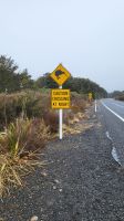 Rundreise Neuseeland // Kiwischild im Tongariro-Nationalpark &ndash; &copy; Franziska Bergmann (Eberhardt TRAVEL)