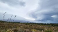 Rundreise Neuseeland // Tongariro-Nationalpark &ndash; &copy; Franziska Bergmann (Eberhardt TRAVEL)