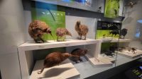 Rundreise Neuseeland // Te Papa Tongarewa • Neuseeländisches Museum in Wellington &ndash; &copy; Franziska Bergmann (Eberhardt TRAVEL)