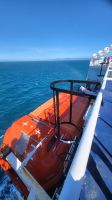 Rundreise Neuseeland // Überfahrt von Wellington nach Picton zur Südinsel &ndash; &copy; Franziska Bergmann (Eberhardt TRAVEL)