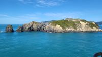 Rundreise Neuseeland // Überfahrt von Wellington nach Picton zur Südinsel &ndash; &copy; Franziska Bergmann (Eberhardt TRAVEL)