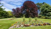 Rundreise Neuseeland // Botanischer Garten in Christchurch &ndash; &copy; Franziska Bergmann (Eberhardt TRAVEL)