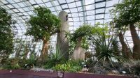 Rundreise Neuseeland // Flower Dome in Singapur &ndash; &copy; Franziska Bergmann (Eberhardt TRAVEL)