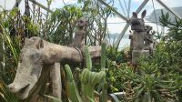 Rundreise Neuseeland // Flower Dome in Singapur &ndash; &copy; Franziska Bergmann (Eberhardt TRAVEL)