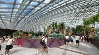 Rundreise Neuseeland // Flower Dome in Singapur &ndash; &copy; Franziska Bergmann (Eberhardt TRAVEL)