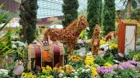 Rundreise Neuseeland // Flower Dome in Singapur &ndash; &copy; Franziska Bergmann (Eberhardt TRAVEL)