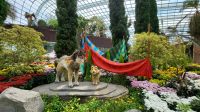 Rundreise Neuseeland // Flower Dome in Singapur &ndash; &copy; Franziska Bergmann (Eberhardt TRAVEL)