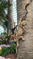 Rundreise Neuseeland // Flower Dome in Singapur &ndash; &copy; Franziska Bergmann (Eberhardt TRAVEL)