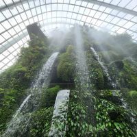 Rundreise Neuseeland // Cloud Forest in Singapur &ndash; &copy; Franziska Bergmann (Eberhardt TRAVEL)