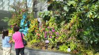 Rundreise Neuseeland // Cloud Forest in Singapur &ndash; &copy; Franziska Bergmann (Eberhardt TRAVEL)