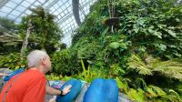 Rundreise Neuseeland // Cloud Forest in Singapur &ndash; &copy; Franziska Bergmann (Eberhardt TRAVEL)