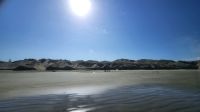 Rundreise Neuseeland // Ausflug zum Cape Reinga - 90Mile Beach &ndash; &copy; Franziska Bergmann (Eberhardt TRAVEL)