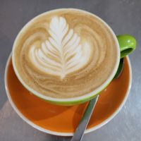 Rundreise Neuseeland // Farn im Kaffee &ndash; &copy; Franziska Bergmann (Eberhardt TRAVEL)