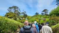 Rundreise Neuseeland // Besuch von Hobbiton &ndash; &copy; Franziska Bergmann (Eberhardt TRAVEL)