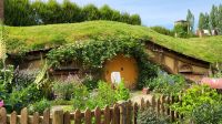 Rundreise Neuseeland // Besuch von Hobbiton &ndash; &copy; Franziska Bergmann (Eberhardt TRAVEL)