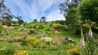Rundreise Neuseeland // Besuch von Hobbiton &ndash; &copy; Franziska Bergmann (Eberhardt TRAVEL)