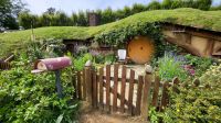 Rundreise Neuseeland // Besuch von Hobbiton &ndash; &copy; Franziska Bergmann (Eberhardt TRAVEL)