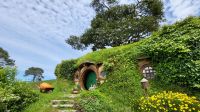 Rundreise Neuseeland // Besuch von Hobbiton &ndash; &copy; Franziska Bergmann (Eberhardt TRAVEL)