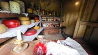 Rundreise Neuseeland // Besuch von Hobbiton &ndash; &copy; Franziska Bergmann (Eberhardt TRAVEL)