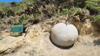 Rundreise Neuseeland // geheimnisvolle Moeraki Boulders &ndash; &copy; Franziska Bergmann (Eberhardt TRAVEL)