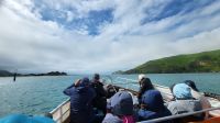 Rundreise Neuseeland // Schifffahrt an der Otago-Halbinsel &ndash; &copy; Franziska Bergmann (Eberhardt TRAVEL)