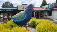 Rundreise Neuseeland // Te Anau im Süden &ndash; &copy; Franziska Bergmann (Eberhardt TRAVEL)