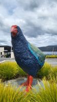 2Rundreise Neuseeland // Te Anau im Süden &ndash; &copy; Franziska Bergmann (Eberhardt TRAVEL)