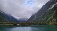 Rundreise Neuseeland // Guten Morgen im Milford Sound &ndash; &copy; Franziska Bergmann (Eberhardt TRAVEL)