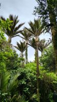 &copy; Franziska Bergmann (Eberhardt TRAVEL)