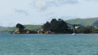 Rundreise Neuseeland // Otago-Halbinsel &ndash; &copy; Franziska Bergmann (Eberhardt TRAVEL)