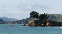 Rundreise Neuseeland // Otago-Halbinsel &ndash; &copy; Franziska Bergmann (Eberhardt TRAVEL)