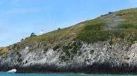 Rundreise Neuseeland // Schifffahrt an der Otago-Halbinsel &ndash; &copy; Franziska Bergmann (Eberhardt TRAVEL)