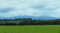 Rundreise Neuseeland // Reise durch Süd-Neuseeland &ndash; &copy; Franziska Bergmann (Eberhardt TRAVEL)
