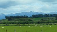 Rundreise Neuseeland // Reise durch Süd-Neuseeland &ndash; &copy; Franziska Bergmann (Eberhardt TRAVEL)