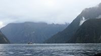 Rundreise Neuseeland // Erkundungen im Milford Sound &ndash; &copy; Franziska Bergmann (Eberhardt TRAVEL)